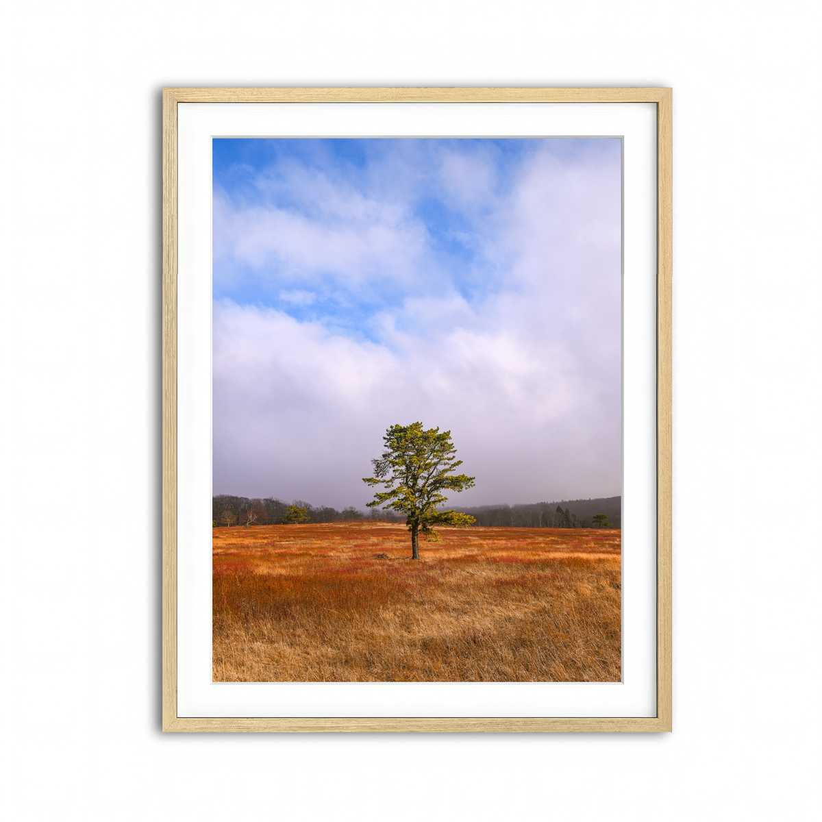 Framed Print 3x4 Natural