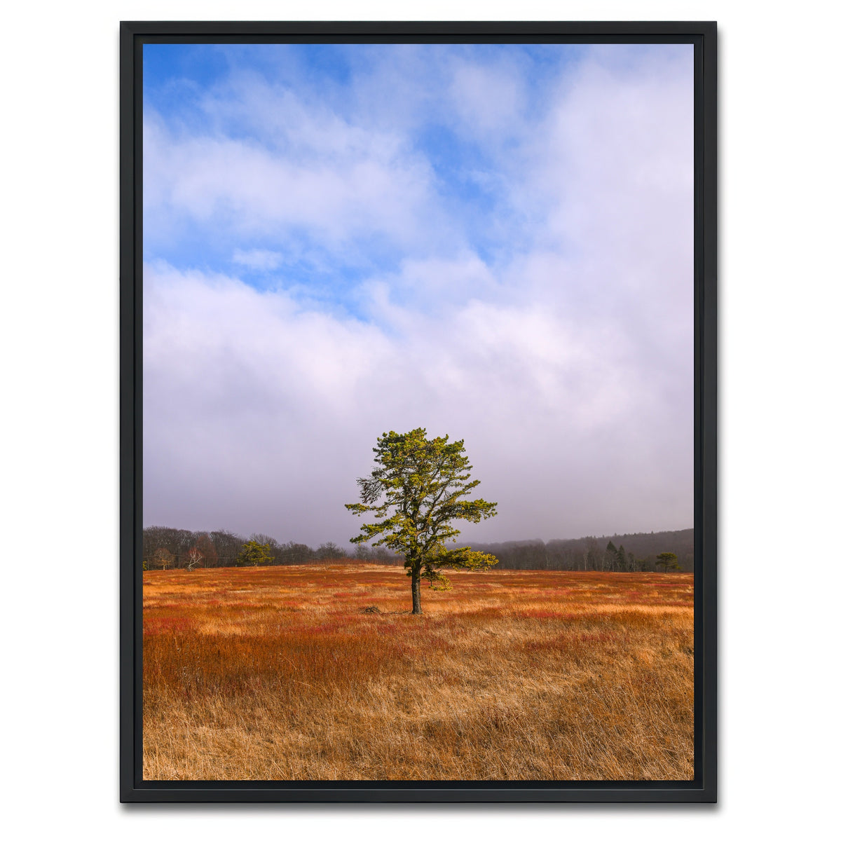 AUTO-MOCKUP WHITE | Distant Fog | 1 Piece | Black Framed Canvas | group=3x4