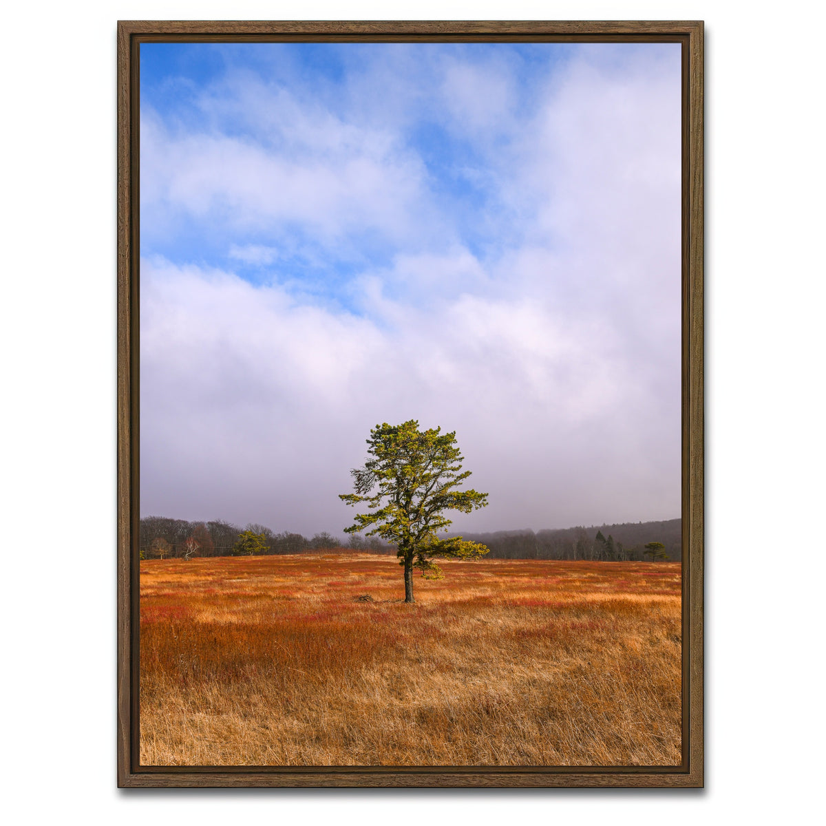 AUTO-MOCKUP WHITE | Distant Fog | 1 Piece | Walnut Framed Canvas | group=3x4