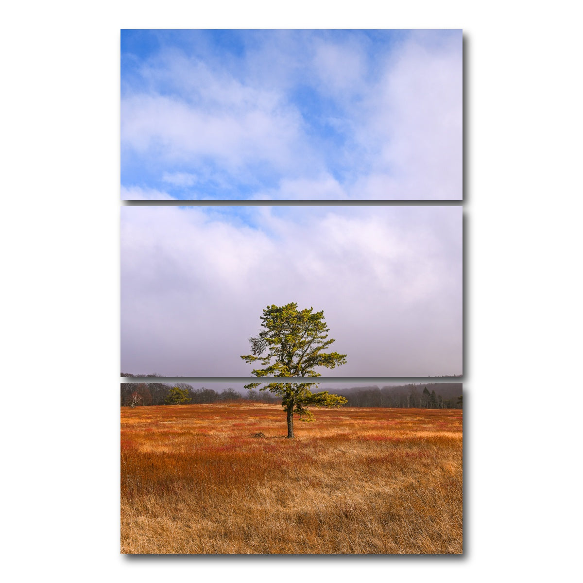 AUTO-MOCKUP WHITE | Distant Fog | 3 Piece | Gallery Wrap Canvas | group=12x24_stacked