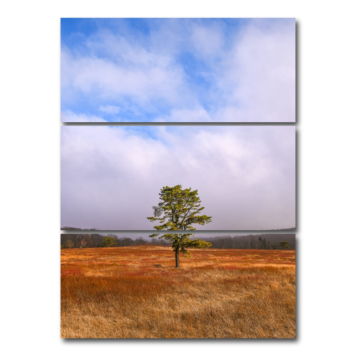 AUTO-MOCKUP WHITE | Distant Fog | 3 Piece | Gallery Wrap Canvas | group=8x18_stacked