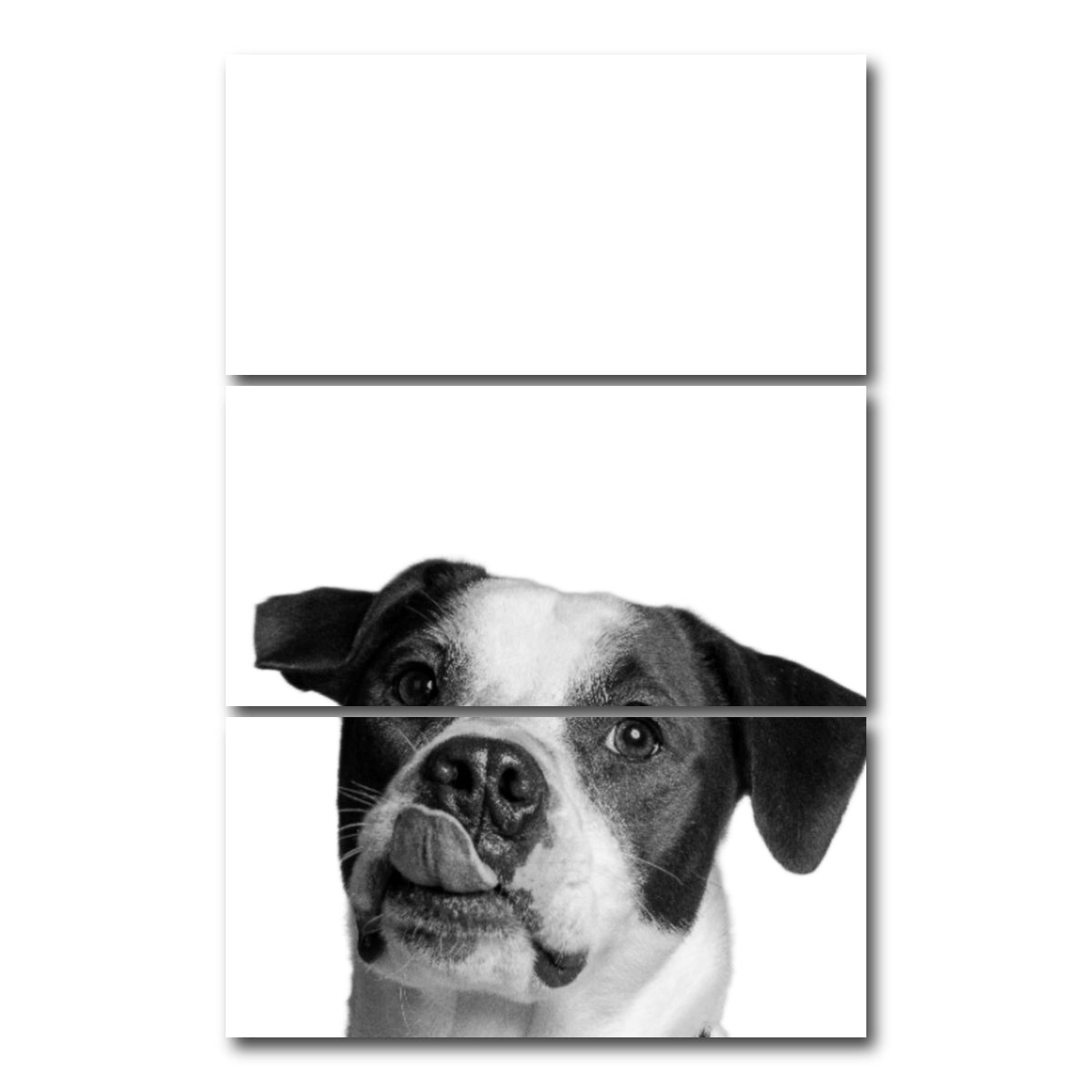 AUTO-MOCKUP WHITE | Dog | 3 Piece | Gallery Wrap Canvas | group=12x24_stacked