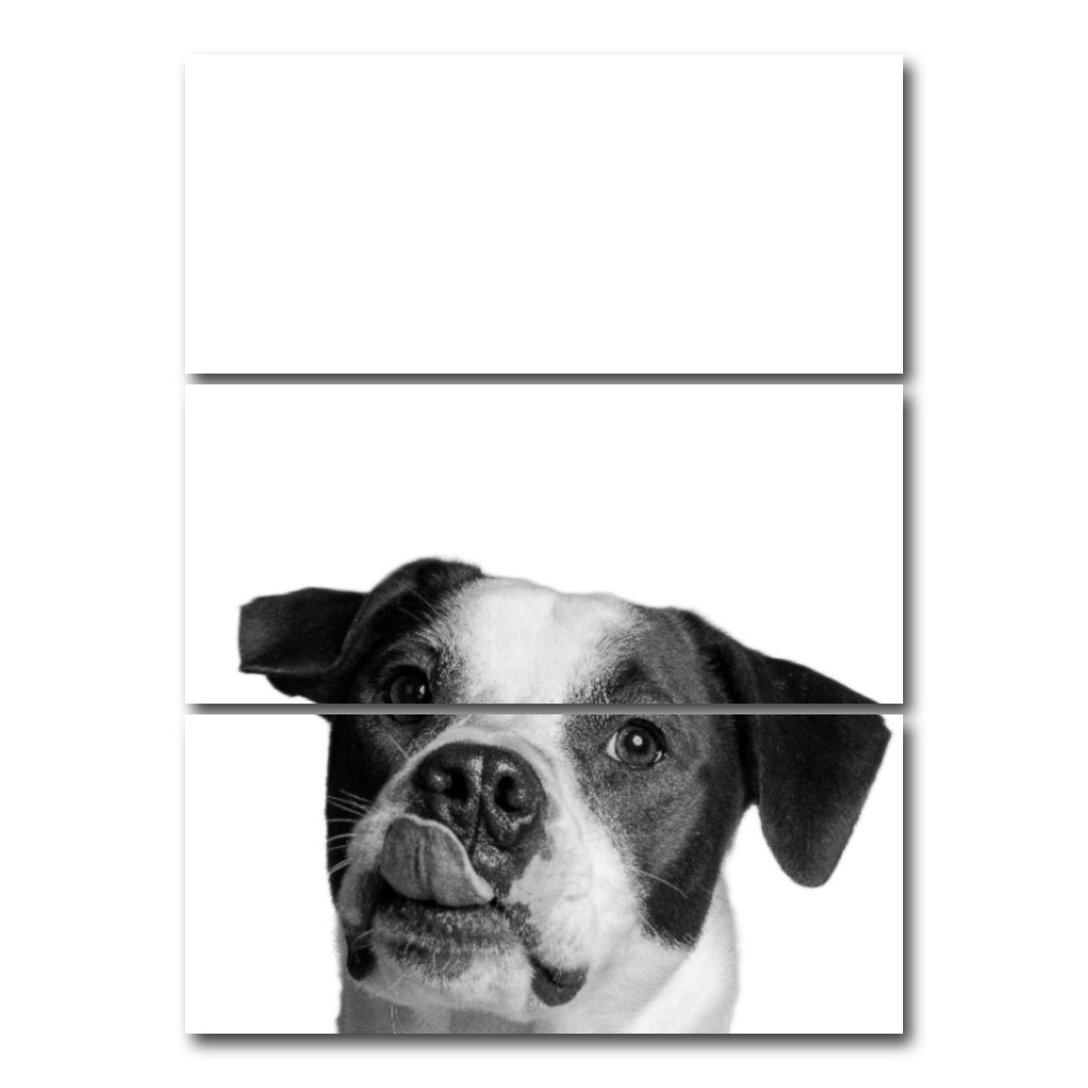 AUTO-MOCKUP WHITE | Dog | 3 Piece | Gallery Wrap Canvas | group=8x18_stacked