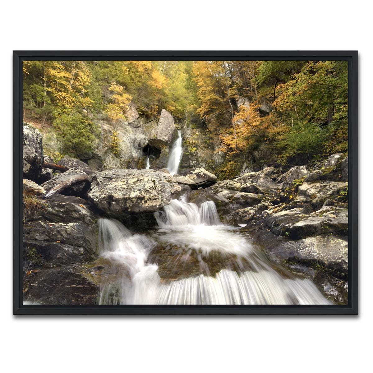 AUTO-MOCKUP WHITE | Down Stream | 1 Piece | Black Framed Canvas | group=4x3