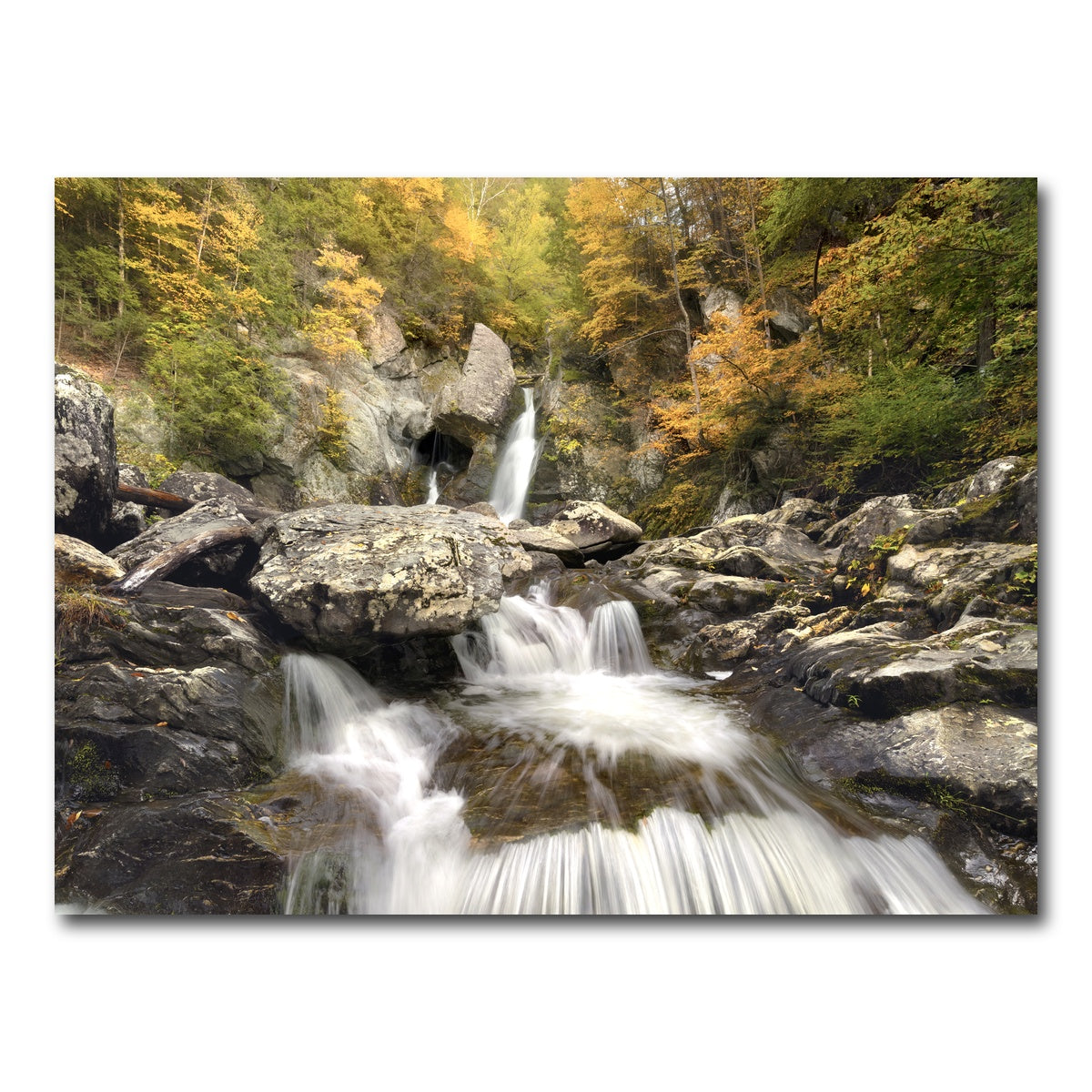 AUTO-MOCKUP WHITE | Down Stream | 1 Piece | Gallery Wrap Canvas | group=4x3