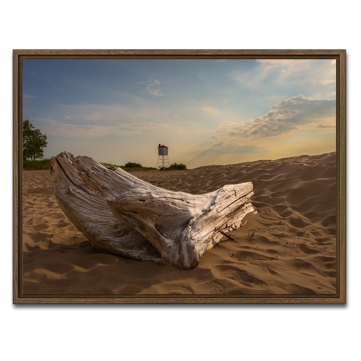 AUTO-MOCKUP WHITE | Driftwood Sunset | 1 Piece | Walnut Framed Canvas | group=4x3