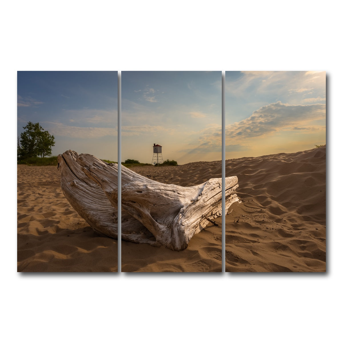 AUTO-MOCKUP WHITE | Driftwood Sunset | 3 Piece | Gallery Wrap Canvas | group=12x24