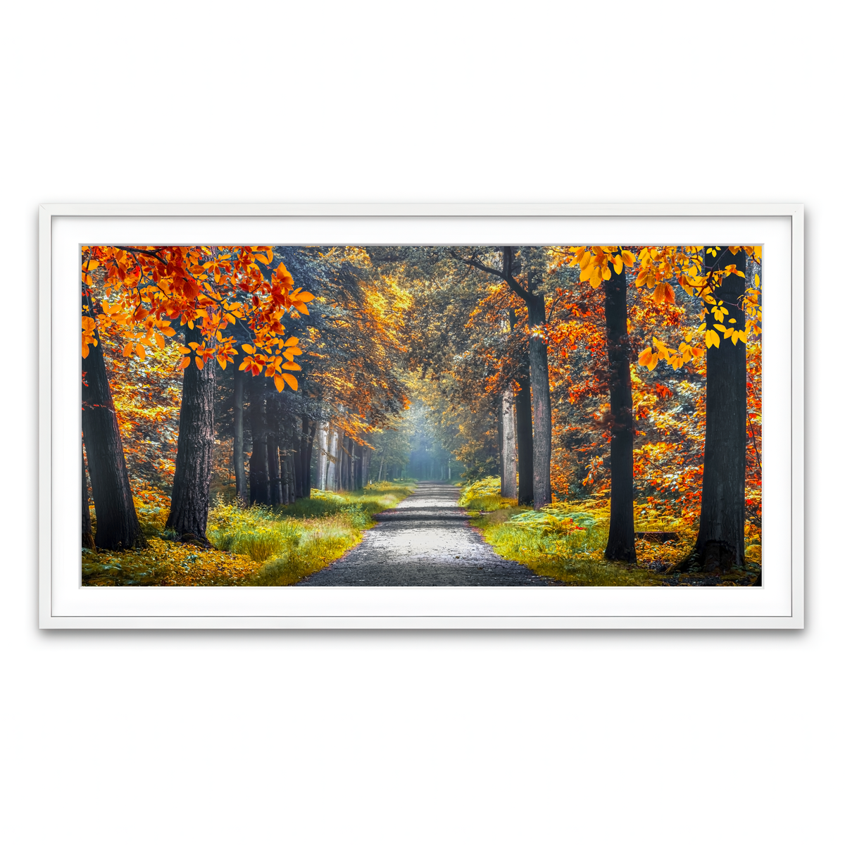 Framed Print 2x1 White