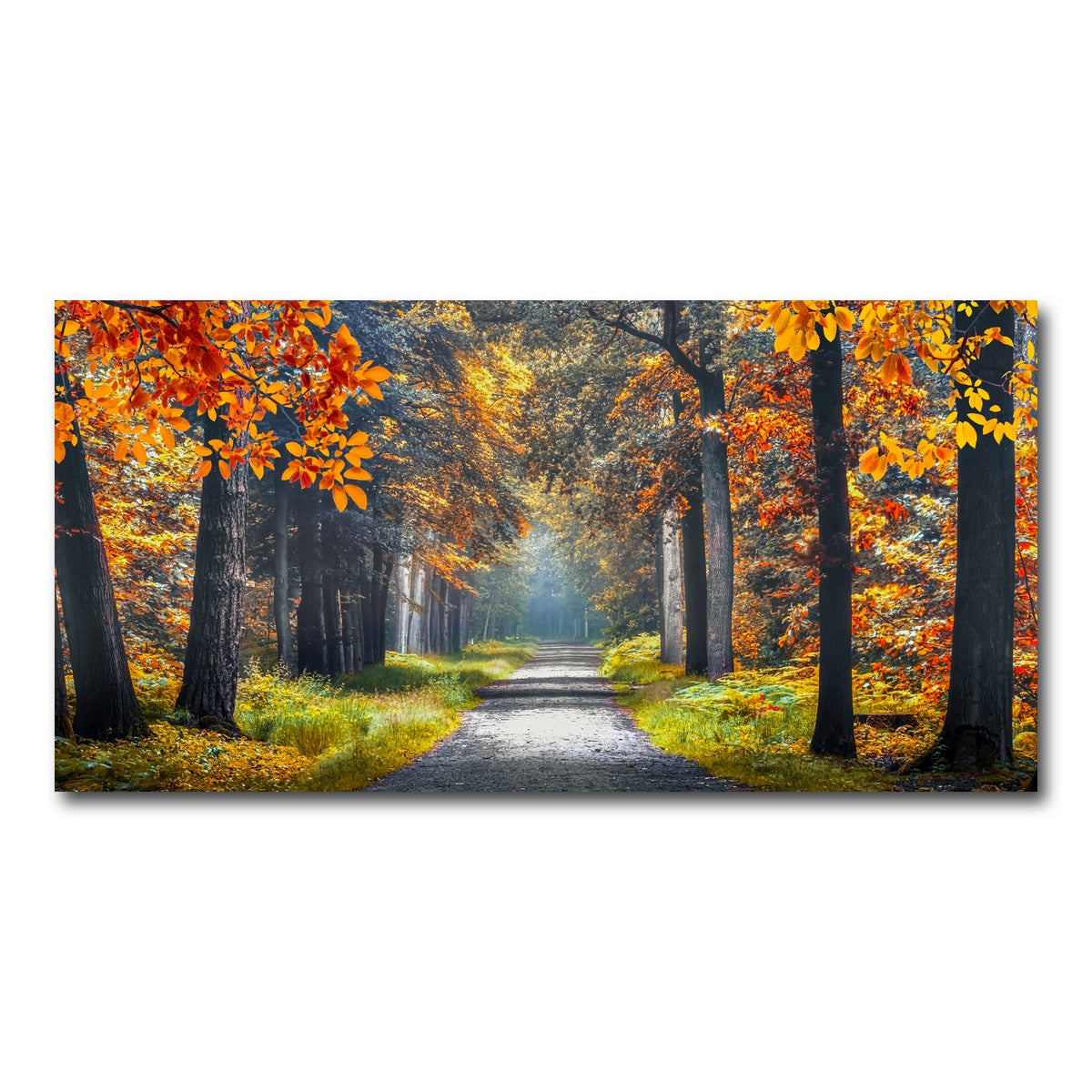 AUTO-MOCKUP WHITE | Dutch Forest | 1 Piece | Gallery Wrap Canvas | group=2x1