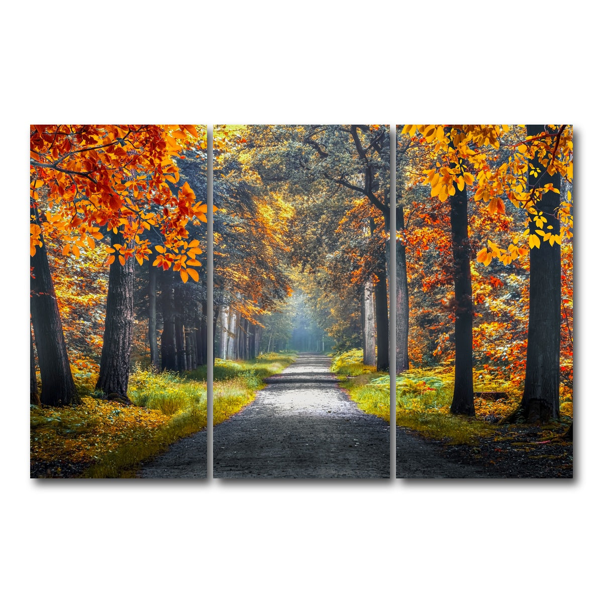 AUTO-MOCKUP WHITE | Dutch Forest | 3 Piece | Gallery Wrap Canvas | group=12x24