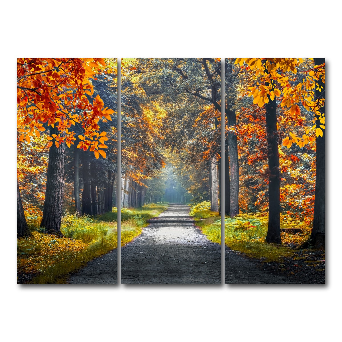 AUTO-MOCKUP WHITE | Dutch Forest | 3 Piece | Gallery Wrap Canvas | group=8x18