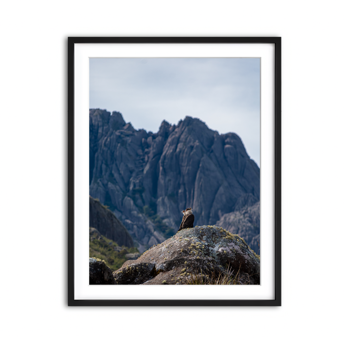 Framed Print 3x4 Black