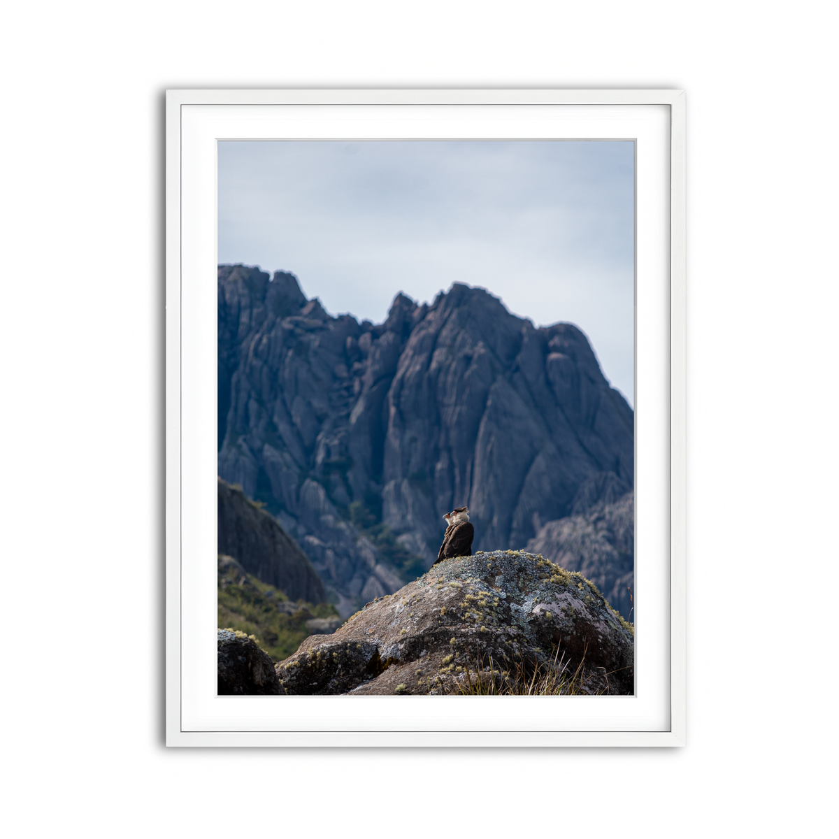 Framed Print 3x4 White