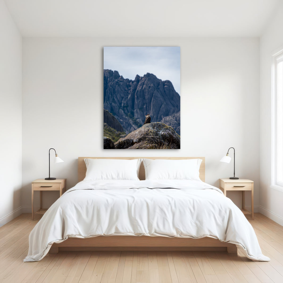 AUTO-MOCKUP ROOM | Eagles and Black Needles Peak