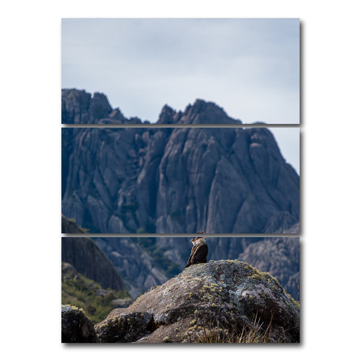 AUTO-MOCKUP WHITE | Eagles and Black Needles Peak | 3 Piece | Gallery Wrap Canvas | group=8x18_stacked