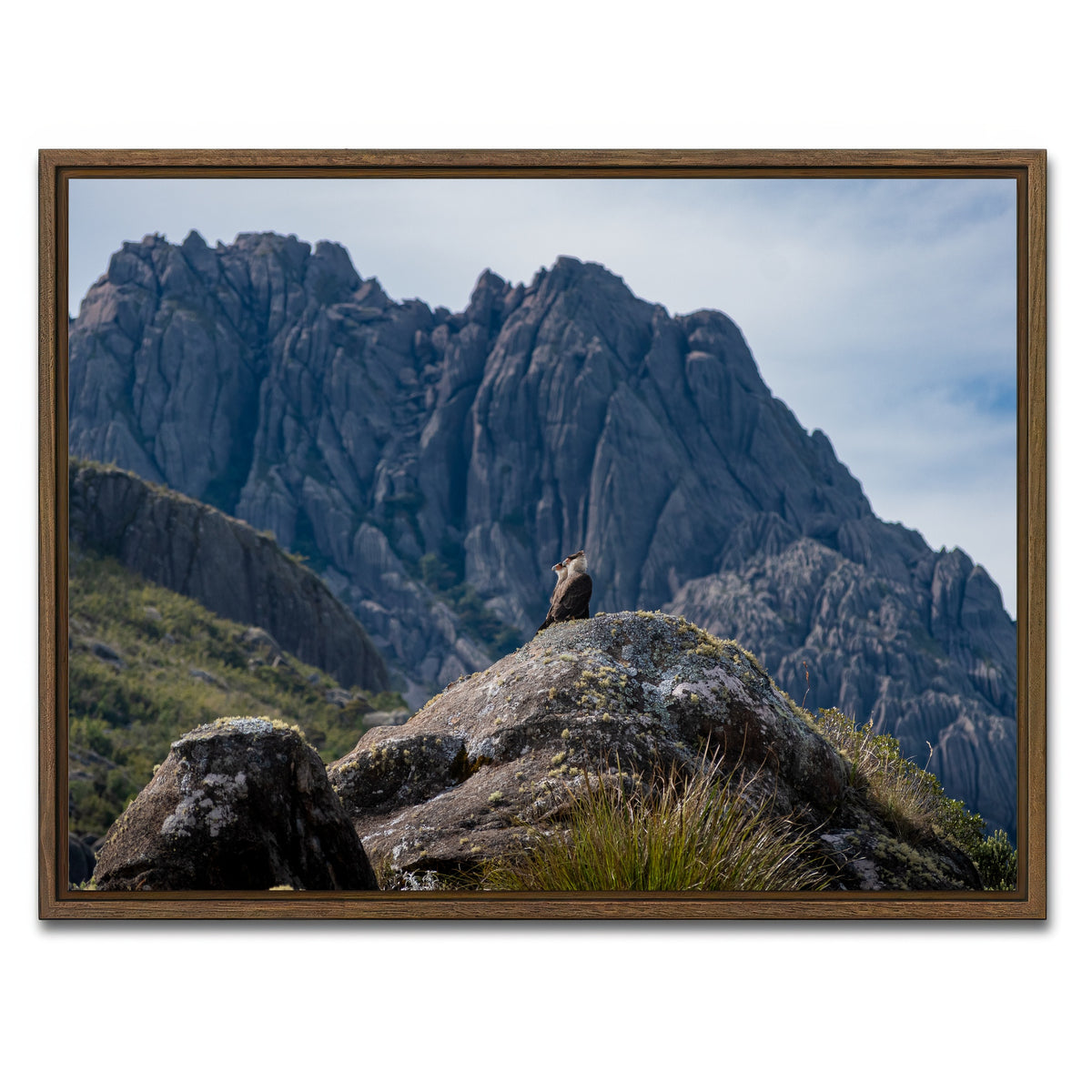 AUTO-MOCKUP WHITE | Eagles and The Black Needles | 1 Piece | Walnut Framed Canvas | group=4x3