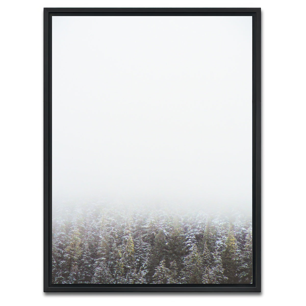 AUTO-MOCKUP WHITE | Early Morning in Northern BC Canada | 1 Piece | Black Framed Canvas | group=3x4
