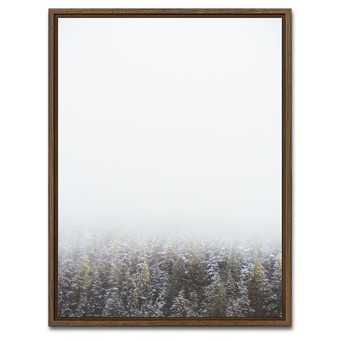 AUTO-MOCKUP WHITE | Early Morning in Northern BC Canada | 1 Piece | Walnut Framed Canvas | group=3x4