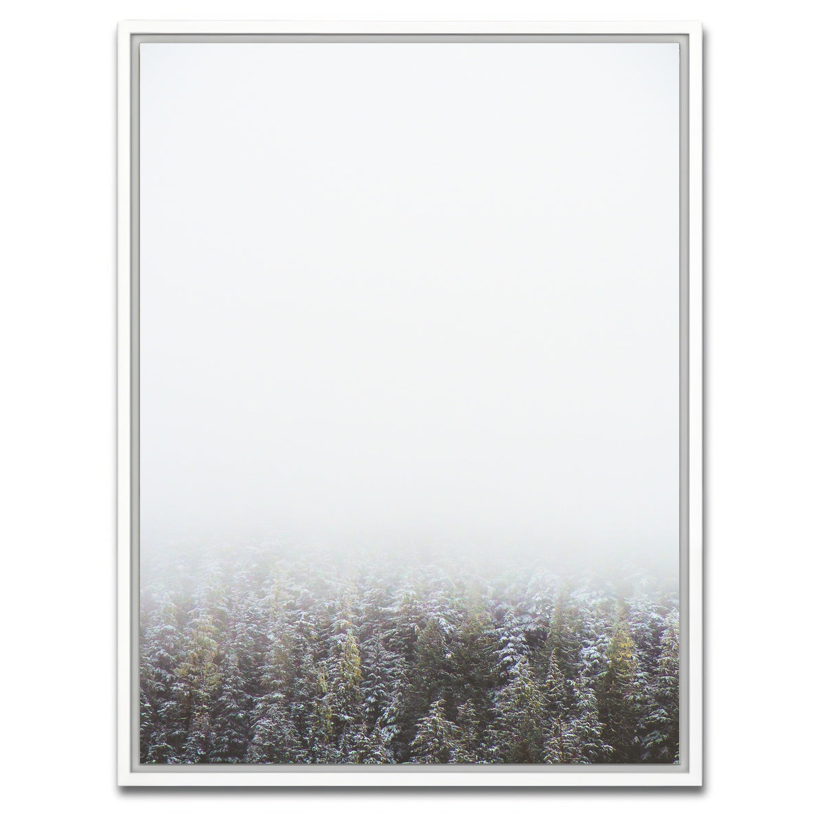 AUTO-MOCKUP WHITE | Early Morning in Northern BC Canada | 1 Piece | White Framed Canvas | group=3x4