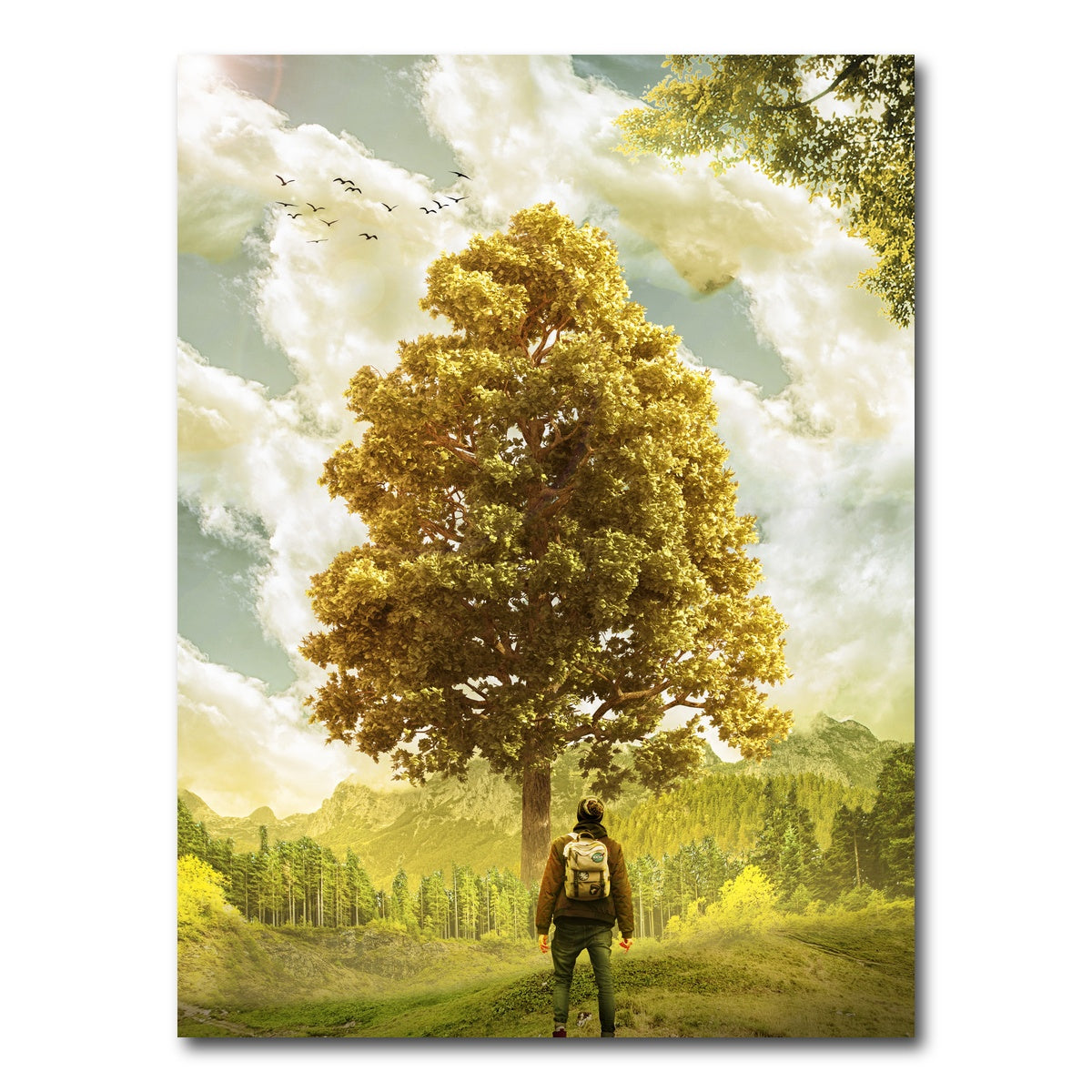 AUTO-MOCKUP WHITE | Elder Man | 1 Piece | Gallery Wrap Canvas | group=3x4