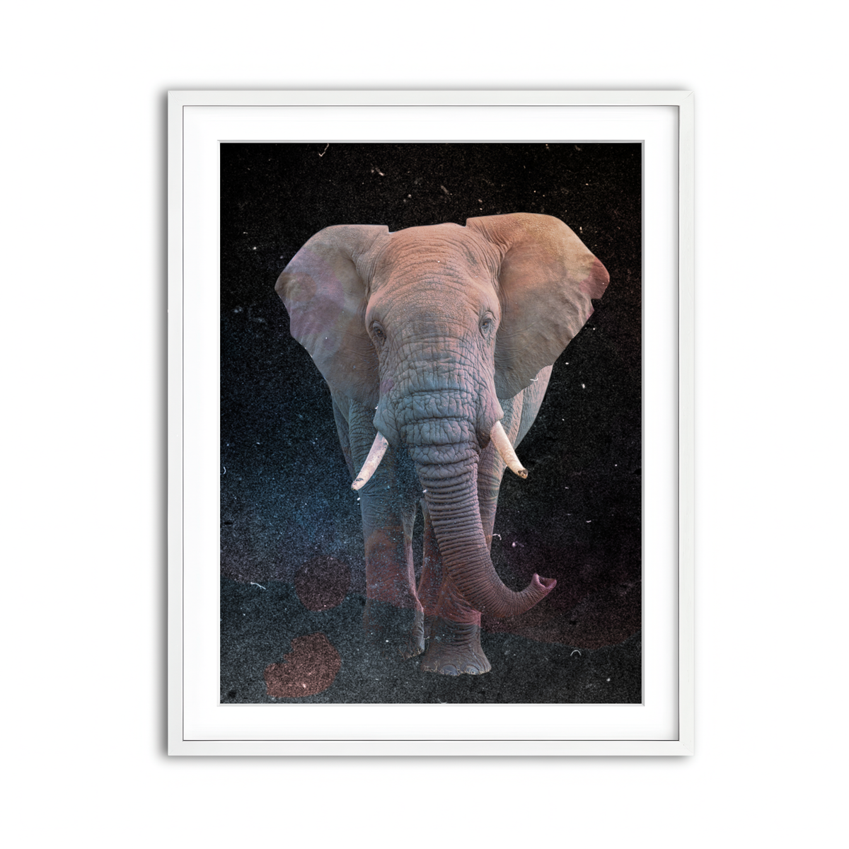 Framed Print 3x4 White