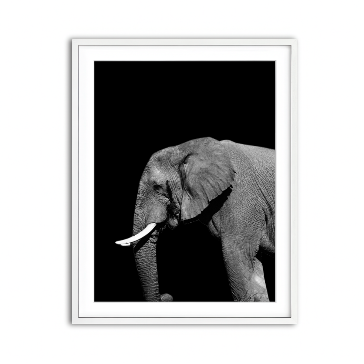 Framed Print 3x4 White