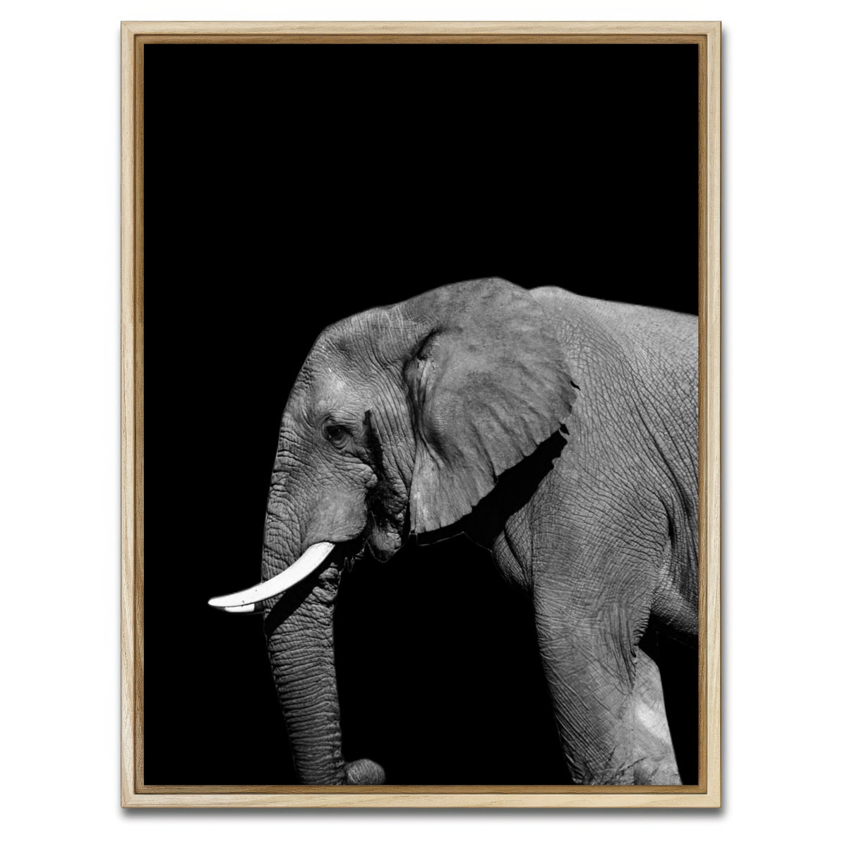 AUTO-MOCKUP WHITE | Elephant | 1 Piece | Natural Framed Canvas | group=3x4