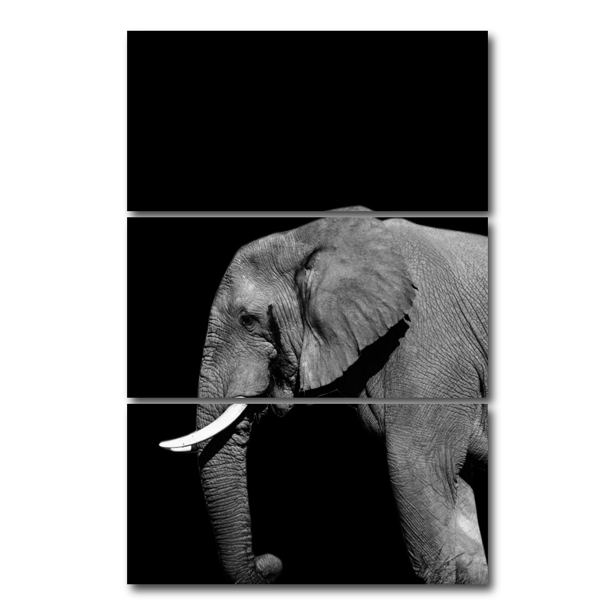 AUTO-MOCKUP WHITE | Elephant | 3 Piece | Gallery Wrap Canvas | group=12x24_stacked