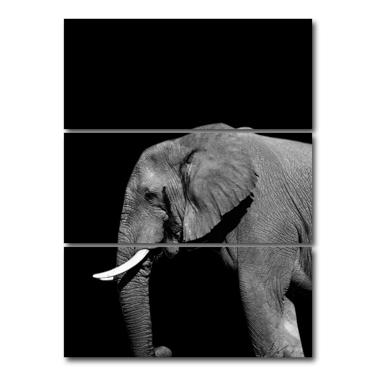 AUTO-MOCKUP WHITE | Elephant | 3 Piece | Gallery Wrap Canvas | group=8x18_stacked
