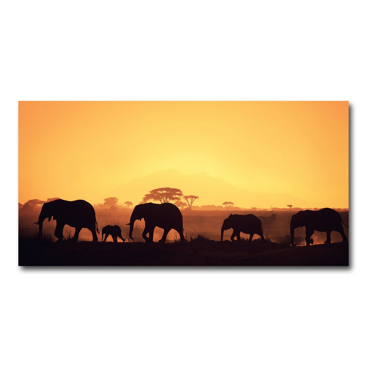 AUTO-MOCKUP WHITE | Elephants Walking Wall Art | 1 Piece | Gallery Wrapped | group=2x1