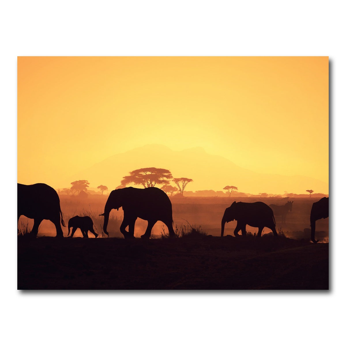 AUTO-MOCKUP WHITE | Elephants Walking Wall Art | 1 Piece | Gallery Wrapped | group=4x3