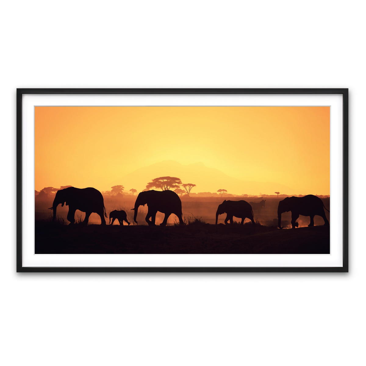 Framed Print 2x1 Black