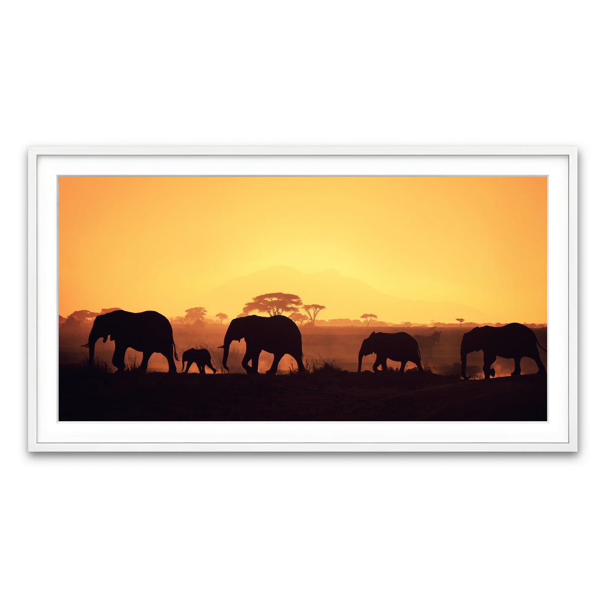 Framed Print 2x1 White