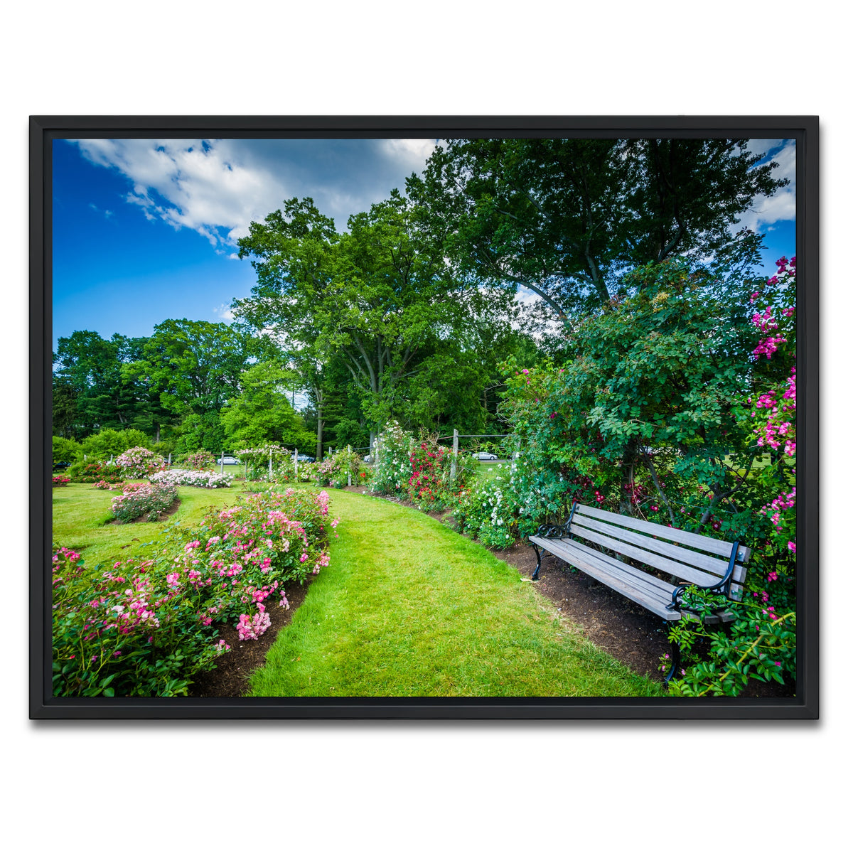 AUTO-MOCKUP WHITE | Elizabeth Park | 1 Piece | Black Framed Canvas | group=4x3