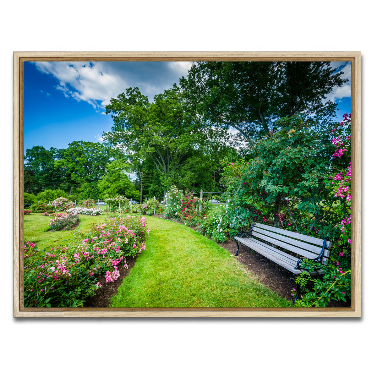AUTO-MOCKUP WHITE | Elizabeth Park | 1 Piece | Natural Framed Canvas | group=4x3
