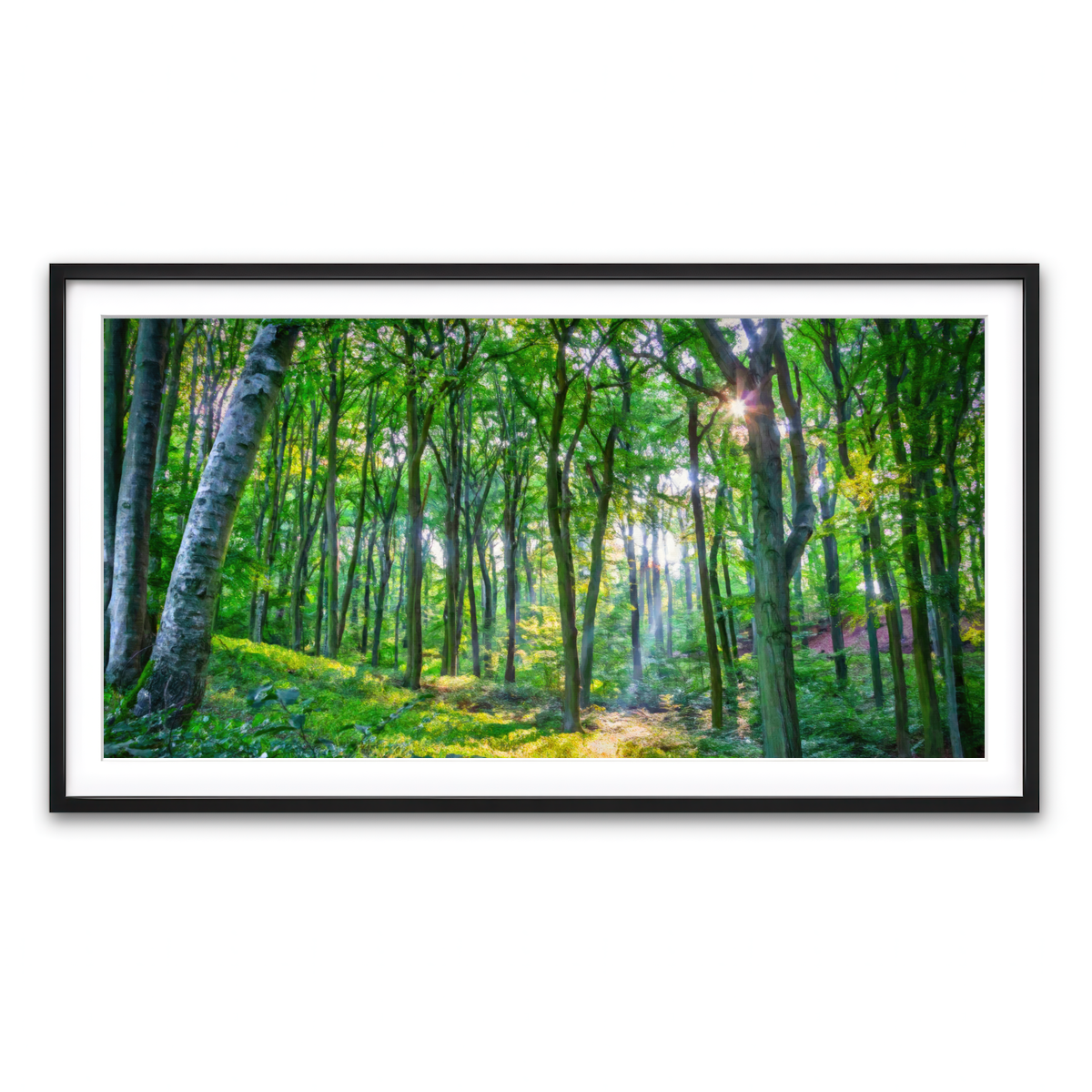 Framed Print 2x1 Black