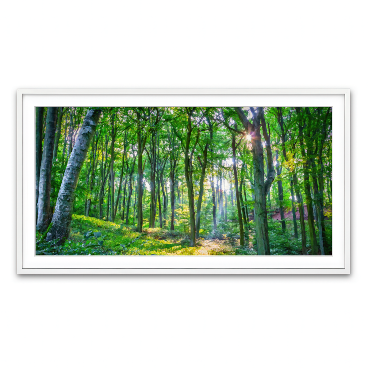 Framed Print 2x1 White