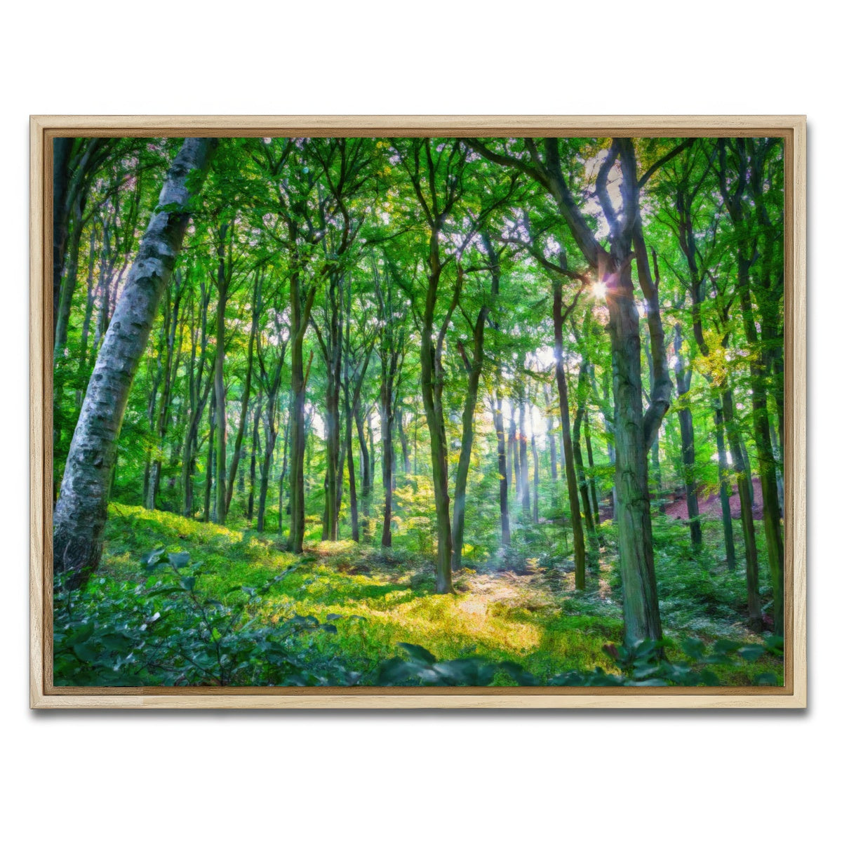 AUTO-MOCKUP WHITE | Emerald Forest | 1 Piece | Natural Framed Canvas | group=4x3