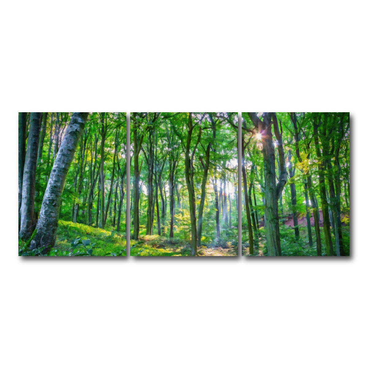 AUTO-MOCKUP WHITE | Emerald Forest | 3 Piece | Gallery Wrap Canvas | group=18x24
