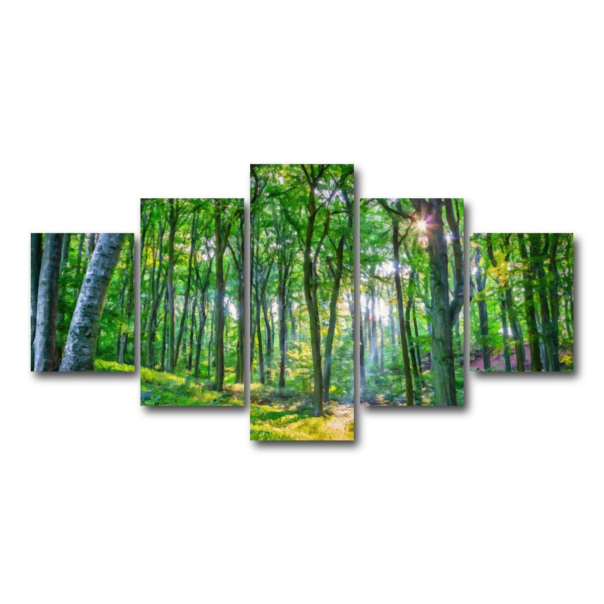 AUTO-MOCKUP WHITE | Emerald Forest | 5 Piece | Gallery Wrap Canvas | group=5_short