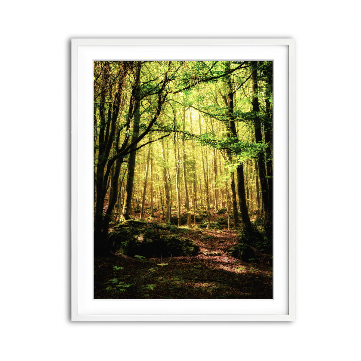 Framed Print 3x4 White