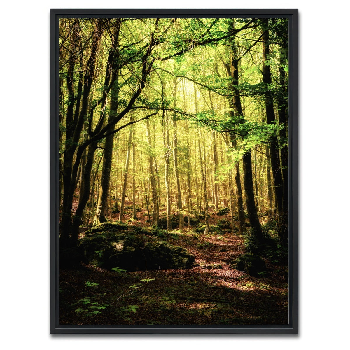 AUTO-MOCKUP WHITE | Enchanting Forest Vol. 1 | 1 Piece | Black Framed Canvas | group=3x4