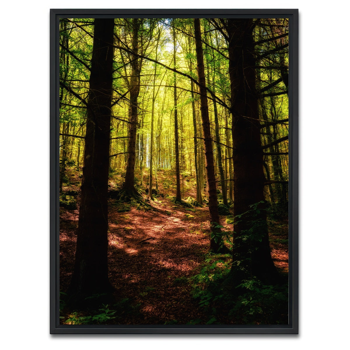 AUTO-MOCKUP WHITE | Enchanting Forest Vol. 2 | 1 Piece | Black Framed Canvas | group=3x4