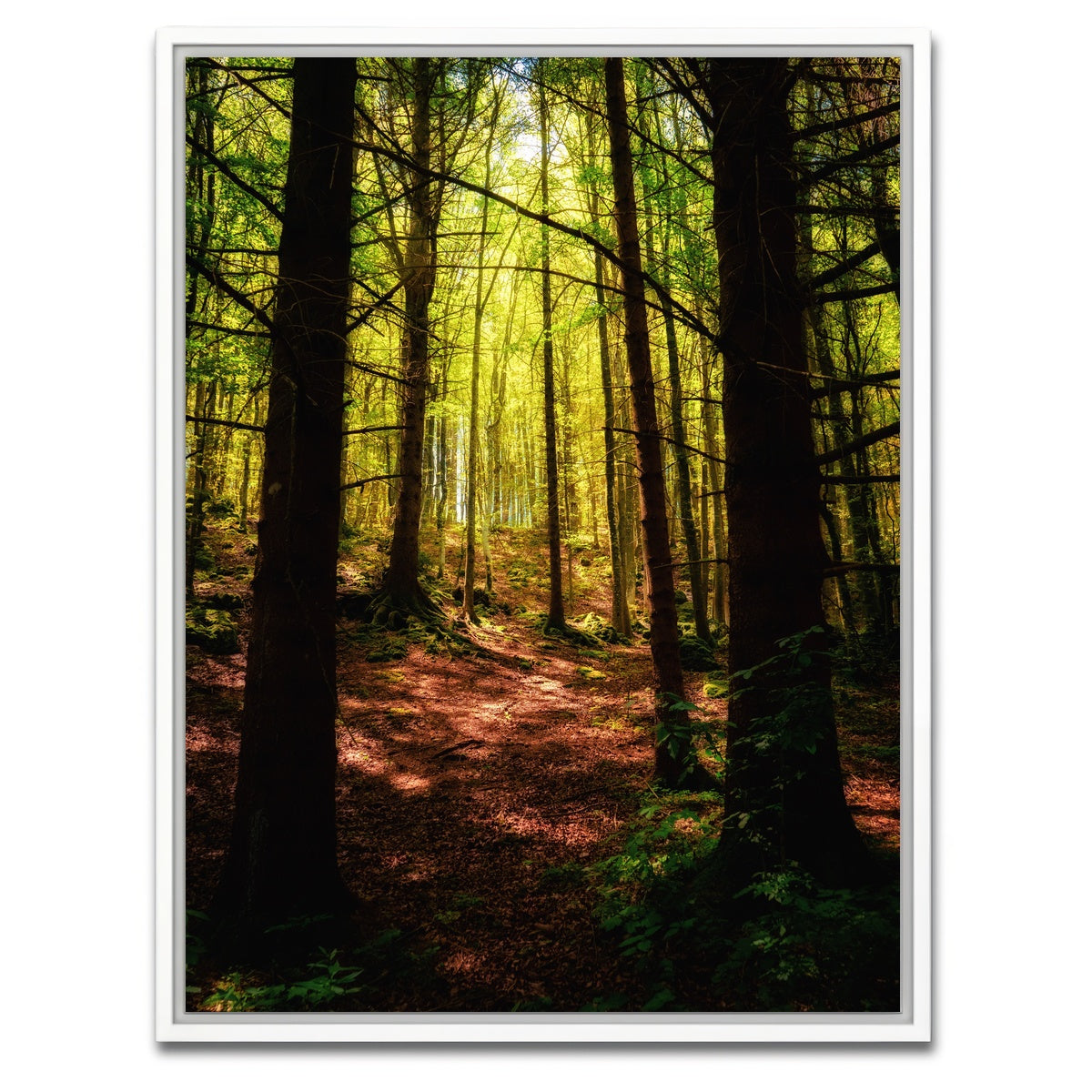 AUTO-MOCKUP WHITE | Enchanting Forest Vol. 2 | 1 Piece | White Framed Canvas | group=3x4