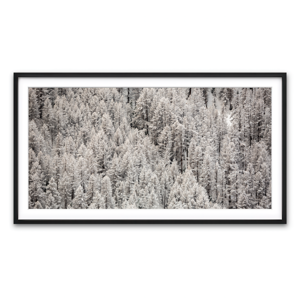 Framed Print 2x1 Black