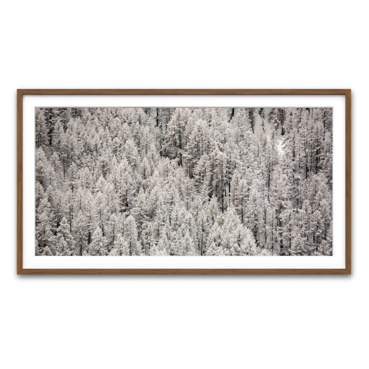 Framed Print 2x1 Walnut