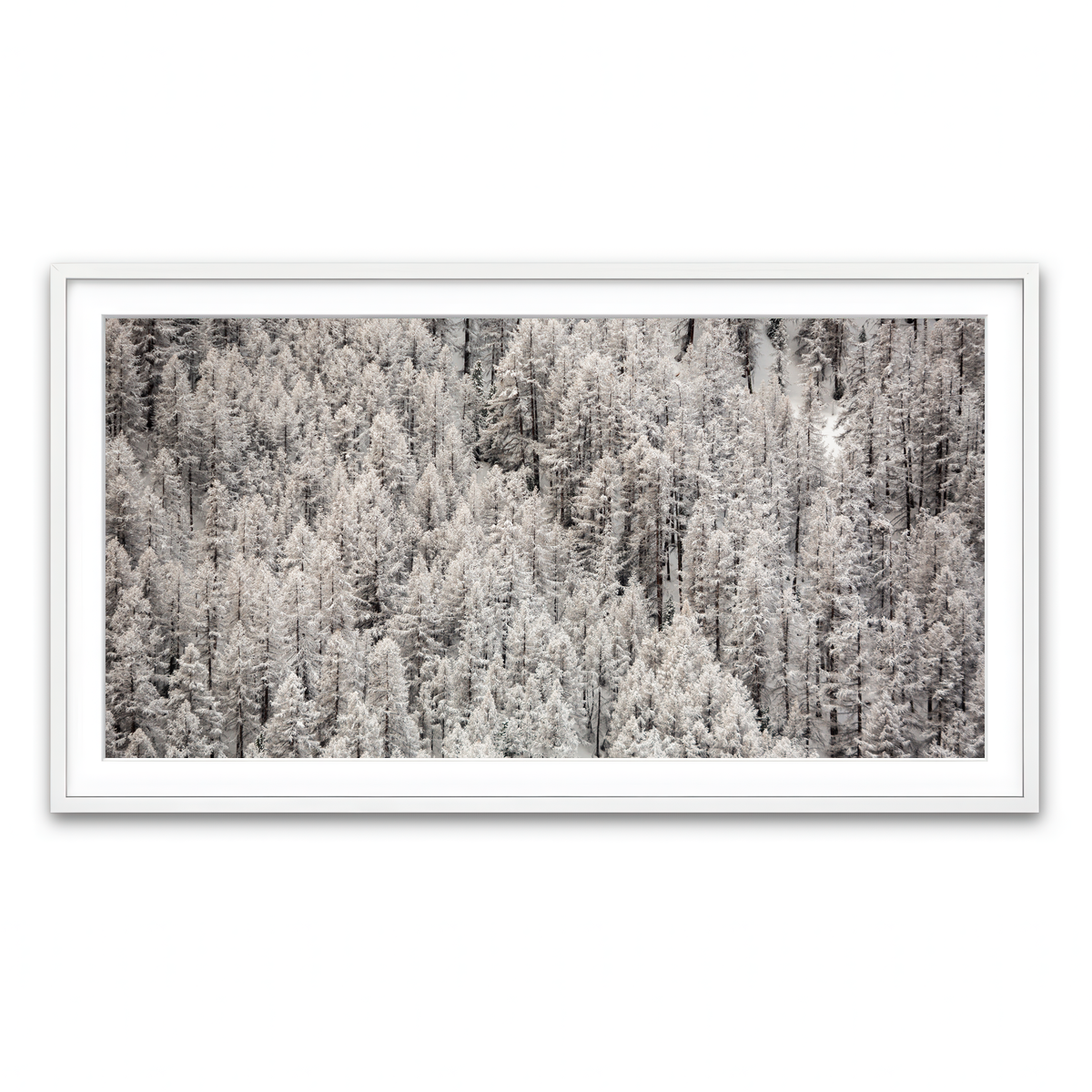 Framed Print 2x1 White