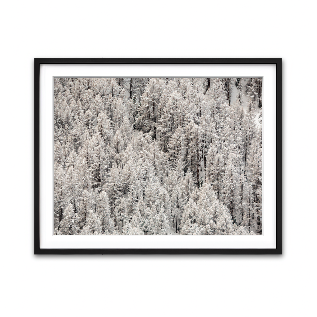 Framed Print 4x3 Black