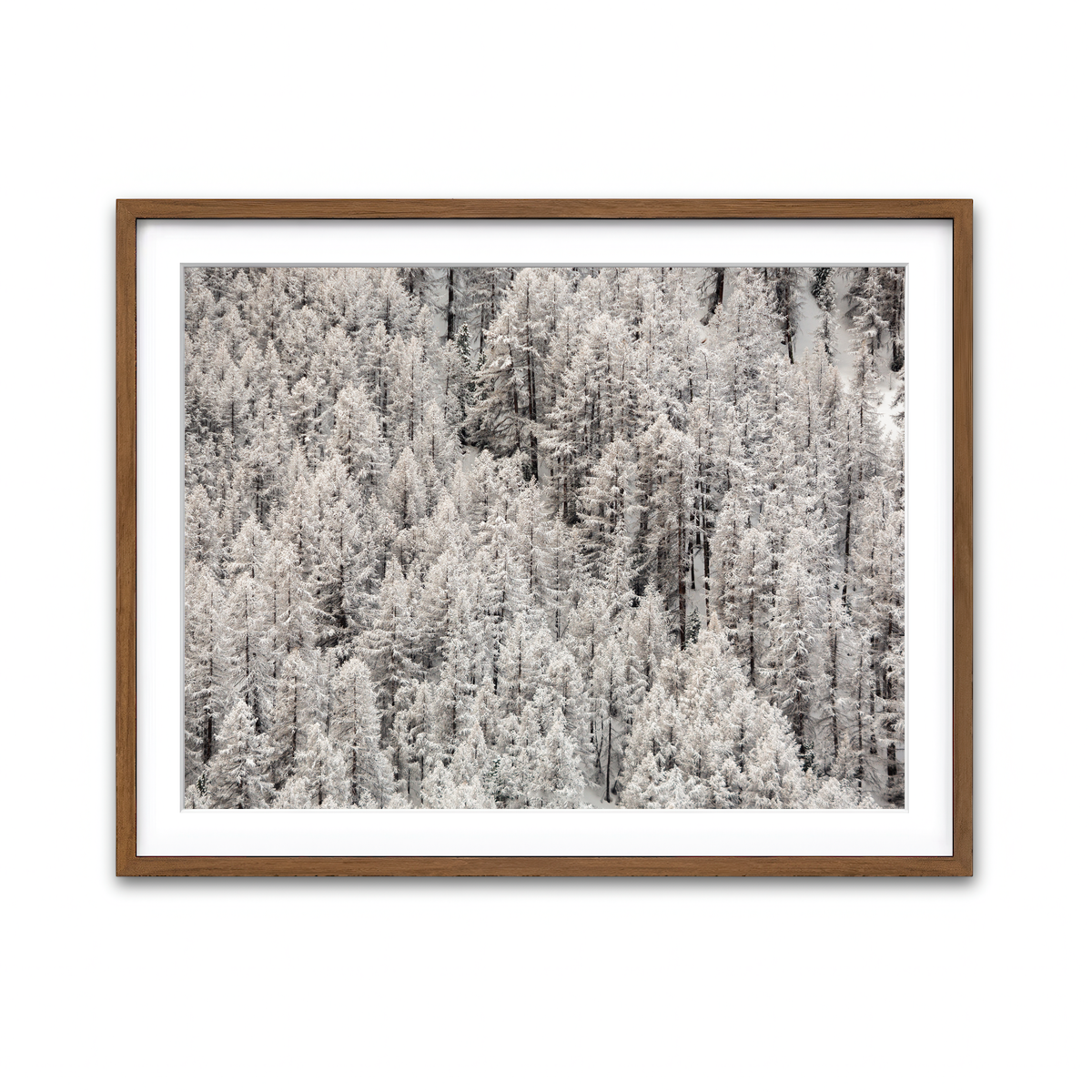 Framed Print 4x3 Walnut