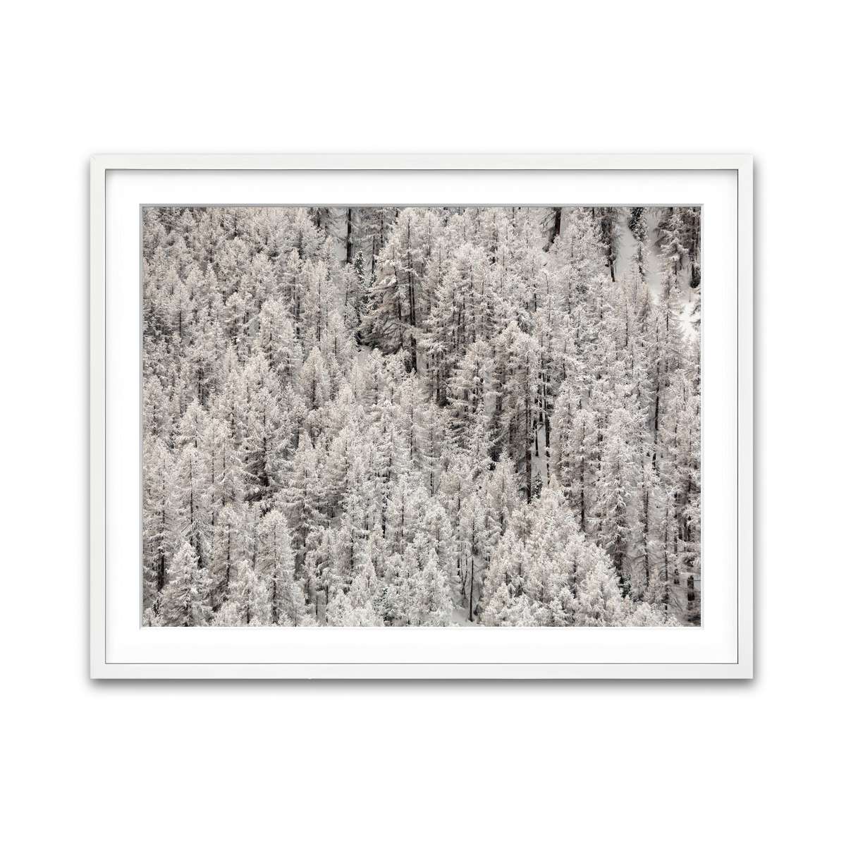 Framed Print 4x3 White